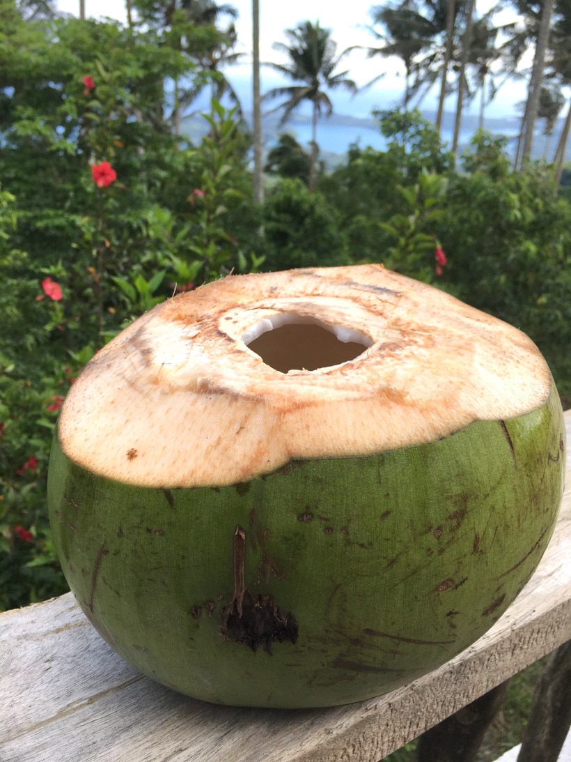 coconut