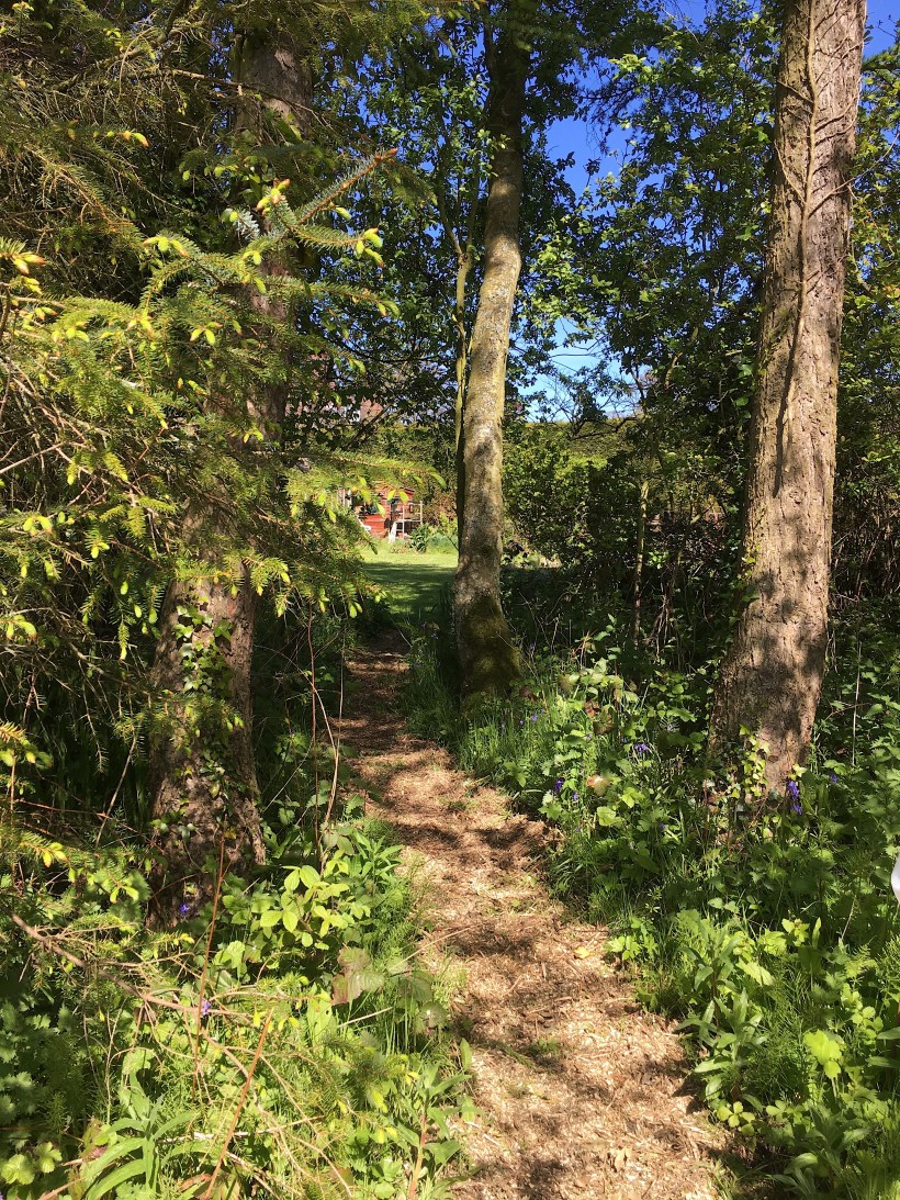 garden path copy.jpg